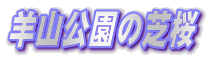 rR̎ō
