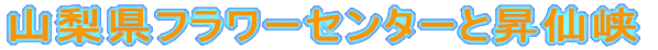 Rt[Z^[Ə勬