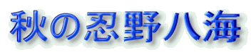 H̔E씪C